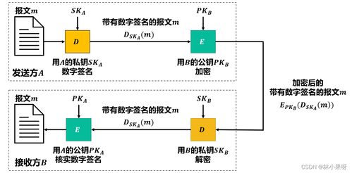 計(jì)算機(jī)網(wǎng)絡(luò)之網(wǎng)絡(luò)安全 守護(hù)數(shù)字世界的無形防線