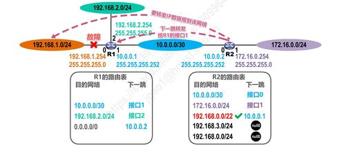 計算機網(wǎng)絡(luò)體系結(jié)構(gòu)探析 聚焦網(wǎng)絡(luò)層與協(xié)議P4.2的演進