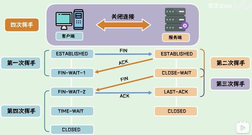 計算機網(wǎng)絡(luò)知識詳解 從基礎(chǔ)到應(yīng)用