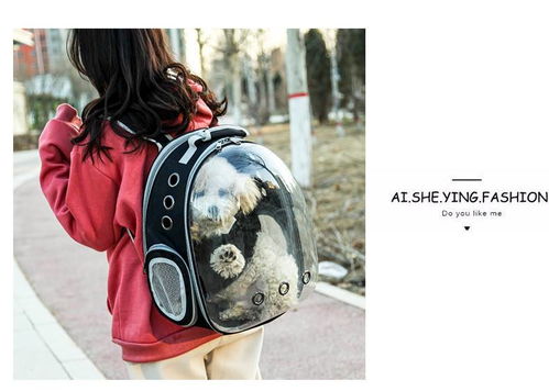 便攜透明寵物背包 湯河店太空貓包艙，出行新選擇